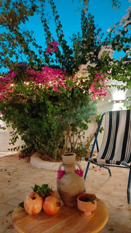 Hostal Henchir Ejdoud Kairouan Exterior foto