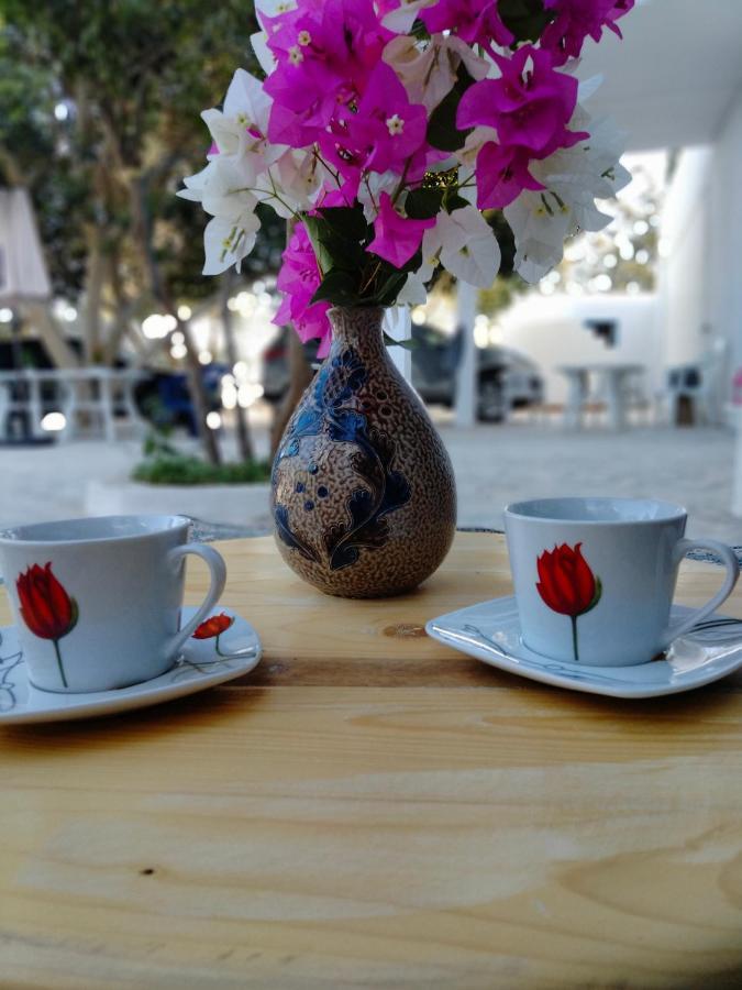 Hostal Henchir Ejdoud Kairouan Exterior foto